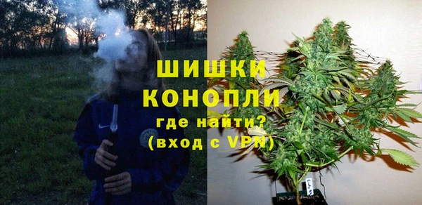 прущие крисы Белокуриха