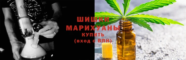 прущие крисы Белокуриха