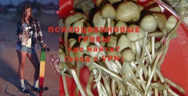 прущие крисы Белокуриха