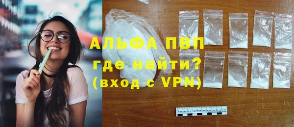 прущие крисы Белокуриха