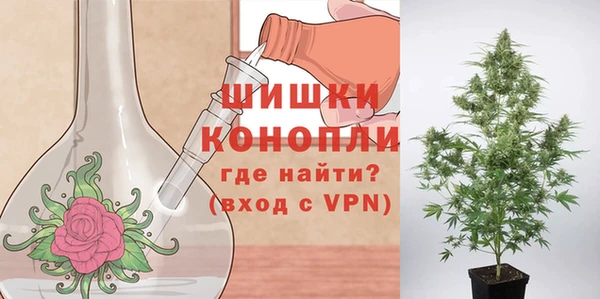 спайс Беломорск