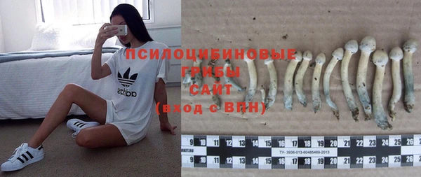 хмурый Белоозёрский